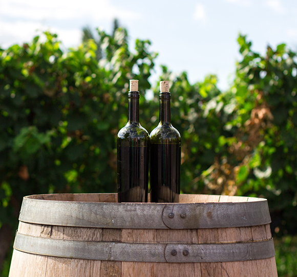 Napa valley wine tours