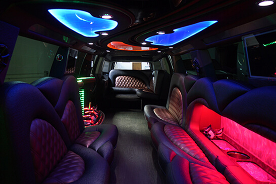 20-passenger limo service
