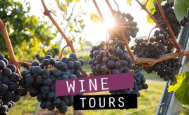 Wine tours in Fremont.