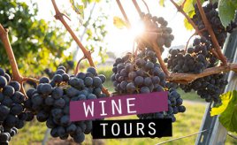 Lodi wine tour